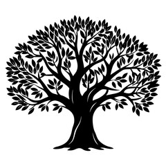 Fototapeta premium Silhouette of a leafy tree with a broad crown and sturdy trunk