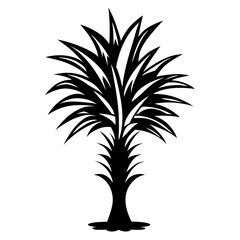 Obraz premium Striking Black and White Silhouette of a Palm Tree Against White Background