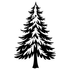 Silhouette of a conifer evergreen tree, a fir tree, with pointy needles