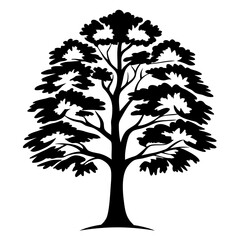 Obraz premium Silhouette of a Lush Deciduous Tree with Full Foliage and Branches