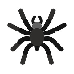 Simple cartoon gray spider vector graphic on black