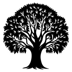 Obraz premium Silhouette of a flourishing tree with a dense canopy and intricate branches
