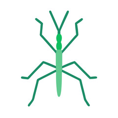 Simple Green Walking Stick Bug Isolated on Black