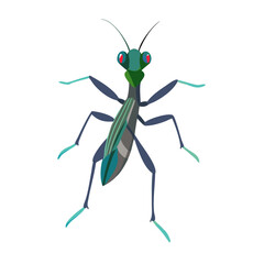 Illustrated praying mantis on a black background vector
