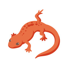 Cute Cartoon Eastern Newt Illustration on Black Background