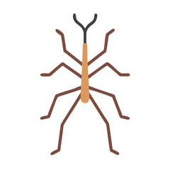 Flat design vector illustration of a stick bug