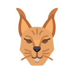 Caracal face icon, feline animal graphic illustration