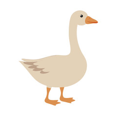 Illustration of a Standing Goose on Black Background