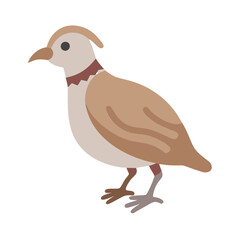 Quail Illustration, Neutral Colors, Isolated on Black Background