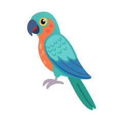 Colorful Macaw Bird Cartoon Illustration on Black Background