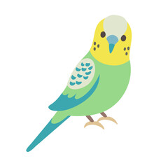 Cute Cartoon Budgie Illustration on a Black Background