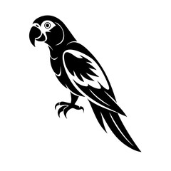 Obraz premium Black and white parrot vector illustration, a wild bird silhouette on a branch
