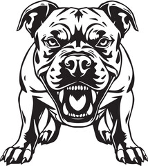 Pitbull terrier. Hand drawn vector illustration