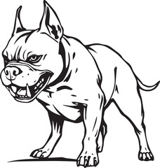Pitbull terrier. Hand drawn vector illustration