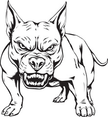 Pitbull terrier. Hand drawn vector illustration