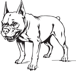 Pitbull terrier. Hand drawn vector illustration