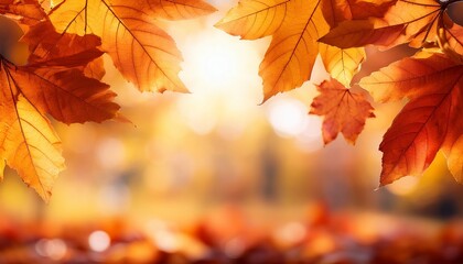 Fototapeta premium Autumn leaves on the fall blurred background