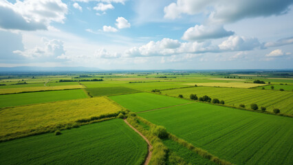 Obraz premium Stunning aerial view of vibrant green farmland under a blue sky with clouds.