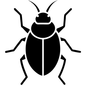 Beetle Bug Vector