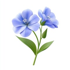 Naklejka premium Light blue flowers with delicate leaves against a white background.