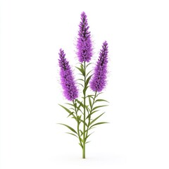 Naklejka premium Three vibrant purple flower clusters atop a green stem.