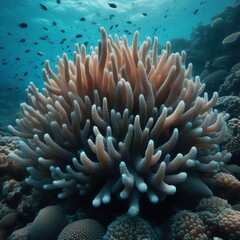 Fototapeta premium Finger small fish and invertebrates