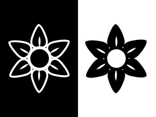 floral illustration set