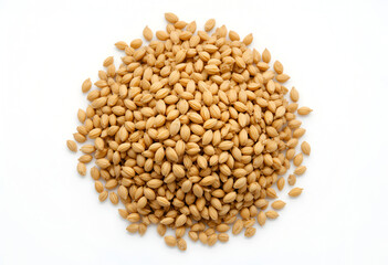 Fototapeta premium Fenugreek seeds pile isolated on transparent background, PNG, top view..
