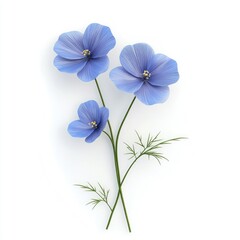 Naklejka premium Three delicate light blue flax flowers against a white background.
