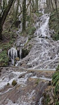 Waterfall jungle