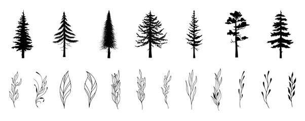 Elegant Forest Collection: Artistic monochrome vector illustrations of assorted coniferous trees and delicate leaf branches, perfect for design projects or nature-inspired themes. 