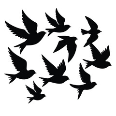 Birds Flying in Sky