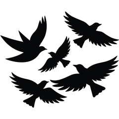 Birds in Sky