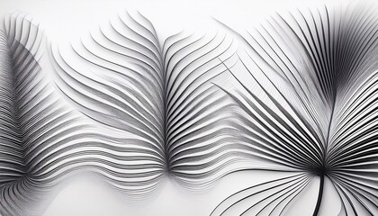 contour black lines white background abstract