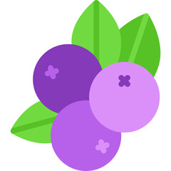 Blueberry single vector icon illustration
