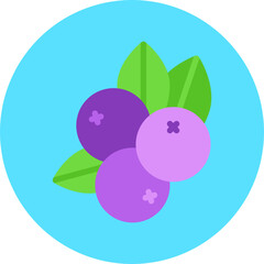 Blueberry single vector icon illustration