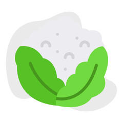 Cauliflower single vector icon illustration