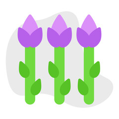 Asparagus single vector icon illustration