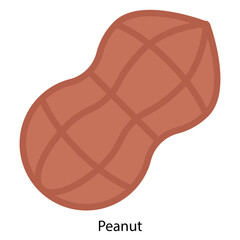 Peanut single vector icon illustration