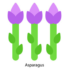 Asparagus single vector icon illustration