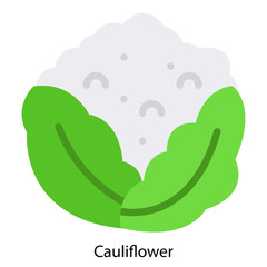 Cauliflower single vector icon illustration