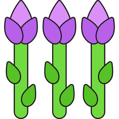 Asparagus single vector icon illustration