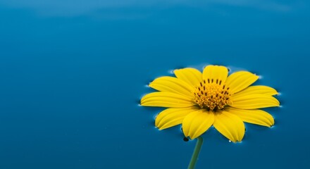 Serene Yellow Flower on Blue Water - A vibrant yellow flower floats serenely on calm blue water, symbolizing peace, tranquility, purity, beauty, and hope