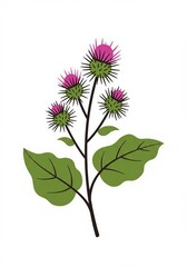 Obraz premium burdock illustration 