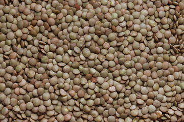 Overhead view of lentils on white background