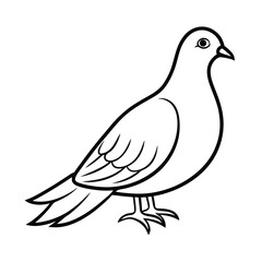 Simple Outline Vector Illustration Of A Pigeon Or Dove Standing With Bold Black Lines And Isolated On White