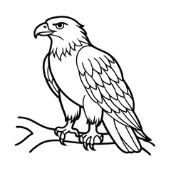 Majestic Eagle Perched On Branch Black And White Vector Outline Illustration Graphic Symbol Wildlife Nature Falcon Bird