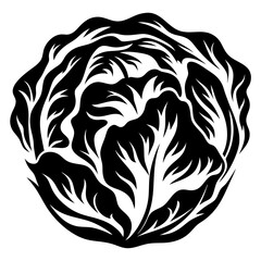 Monochromatic Artistic Illustration of Cabbage with Intricate Leaf Details and Rhythmic Patterns