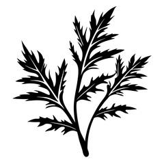 Black silhouette of a plant stem with serrated leaves on white