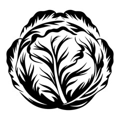 Dramatic Black and White Cabbage Head Illustration Depicting Crisp and Complex Leaves